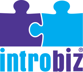 introbiz logo